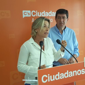 Isabel Albás: “Exigimos al ejecutivo andaluz que tome las medidas urgentes y necesarias para solucionar los problemas de la sanidad andaluza”