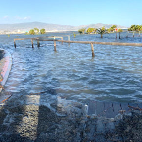 Ciudadanos demanda soluciones permanentes para mitigar los destrozos que causan reiteradamente los temporales en las playas de la Costa granadina