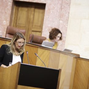 Concha Insúa resalta la apuesta de la Junta para el traslado a unas nuevas dependencias del Cuerpo Nacional de Policía adscrita a la comunidad autónoma de Andalucía en Granada