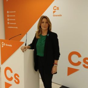 Concha Insúa: “Andalucía redobla esfuerzos en Servicios Sociales mientras el gobierno de Sánchez nos niega el IVA”