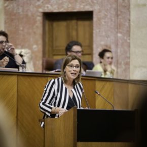 Ciudadanos manifiesta su compromiso firme con la Educación Especial frente a las intenciones del Gobierno de Sánchez