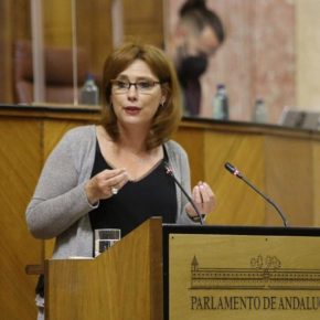 Cs destaca las “numerosas y continuas” inversiones de la Junta en infraestructuras educativas “por toda la geografía granadina”