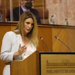 Insúa: “Ya son más de 2.000 los comercios granadinos que han confiado en estas ayudas del Gobierno andaluz”