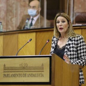 Ciudadanos alaba las “continuas iniciativas” de la Junta para “volver a la senda de creación de empleo” en Granada