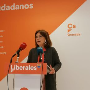 Sánchez: “Ciudadanos lucha por la equiparación salarial de 13.000 docentes granadinos con la media nacional”